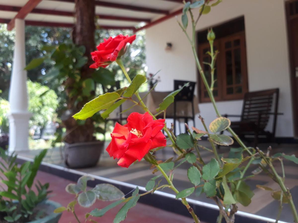 Danara Homestay Sigiriya Exterior photo